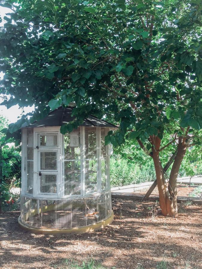 Agrilia Maison Razáta Exteriér fotografie